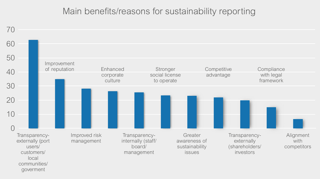WPSP Report Governance