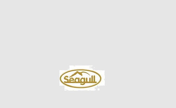 Seagull Training App v2.0 enriched for ease of use