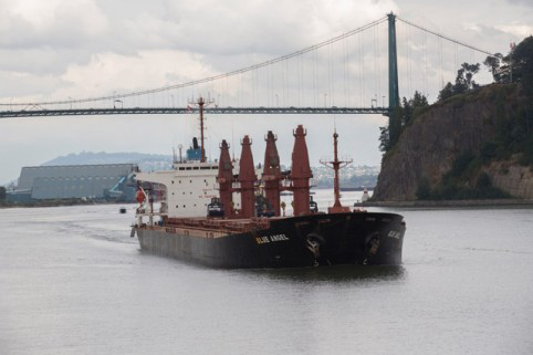 EU shipping policy is solid, but needs a stronger global orientation to sustain further growth