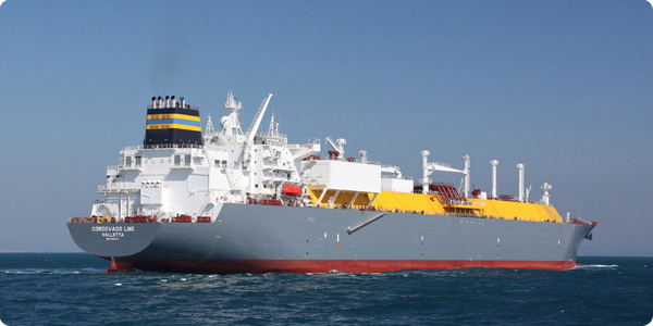 Dryships inc. announces fleet update
