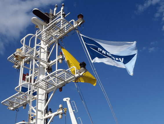 Schulte Group acquires LNG ship manager PRONAV