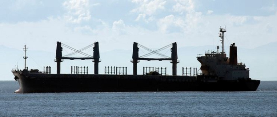 Container &amp; Dry Bulk Sectors Outlook with Aristides J. Pittas