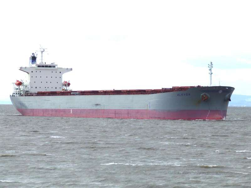 Louis Dreyfus takes capesize on timecharter as rates fall