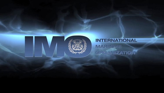 IMO in the polar environment: the Polar Code explained