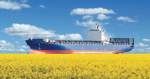 &Pi;&omicron;&iota;ό&sigmaf; &mu;&pi;&omicron;&rho;&epsilon;ί &nu;&alpha; &epsilon;ί&nu;&alpha;&iota; &omicron; &rho;ό&lambda;&omicron;&sigmaf; &tau;&omega;&nu; &beta;&iota;&omicron;&kappa;&alpha;&upsilon;&sigma;ί&mu;&omega;&nu; &sigma;&tau;&eta;&nu; &alpha;&pi;&alpha;&nu;&theta;&rho;&alpha;&kappa;&omicron;&pi;&omicron;ί&eta;&sigma;&eta; &tau;&eta;&sigmaf; &nu;&alpha;&upsilon;&tau;&iota;&lambda;ί&alpha;&sigmaf;