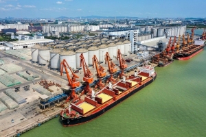 This aerial photo taken on May 4, 2023 shows a cargo ship carrying corn imported from South Africa at a port in south China's Guangdong Province. (Xinhua/Liu Dawei)