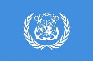 &Omicron; &Delta;&iota;&epsilon;&theta;&nu;ή&sigmaf; &Nu;&alpha;&upsilon;&tau;&iota;&lambda;&iota;&alpha;&kappa;ό&sigmaf; &Omicron;&rho;&gamma;&alpha;&nu;&iota;&sigma;&mu;ό&sigmaf; &tau;&omega;&nu; &Eta;&nu;&omega;&mu;έ&nu;&omega;&nu; &Epsilon;&theta;&nu;ώ&nu;: &Eta; &delta;&omicron;&mu;ή &kappa;&alpha;&iota; &omicron; &rho;ό&lambda;&omicron;&sigmaf; &tau;&omicron;&upsilon; &sigma;&tau;&eta; &delta;&iota;&epsilon;&theta;&nu;ή &rho;ύ&theta;&mu;&iota;&sigma;&eta; &tau;&eta;&sigmaf; &Nu;&alpha;&upsilon;&tau;&iota;&lambda;&iota;&alpha;&kappa;ή&sigmaf; &Beta;&iota;&omicron;&mu;&eta;&chi;&alpha;&nu;ί&alpha;&sigmaf;