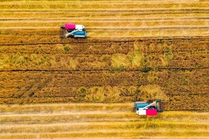 Aerial photo taken on May 21, 2021 shows farmers reaping wheat with harvesters at Heping Township, Changxing County, Huzhou City of east China's Zhejiang Province. (Photo by Wu Zheng/Xinhua)