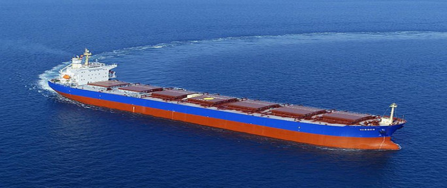 Cautious approach and pessimistic market outlook led to shrinking of dry-bulk fleet
