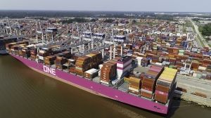 &Tau;&omicron; &lambda;&iota;&mu;ά&nu;&iota; &tau;&omicron;&upsilon; Brunswick &sigma;&tau;&eta; &Tau;&zeta;ό&rho;&tau;&zeta;&iota;&alpha; έ&lambda;&alpha;&beta;&epsilon; &chi;&rho;&eta;&mu;&alpha;&tau;&omicron;&delta;ό&tau;&eta;&sigma;&eta; ύ&psi;&omicron;&upsilon;&sigmaf; $15 &epsilon;&kappa;&alpha;&tau;&omicron;&mu;&mu;&upsilon;&rho;ί&omega;&nu;