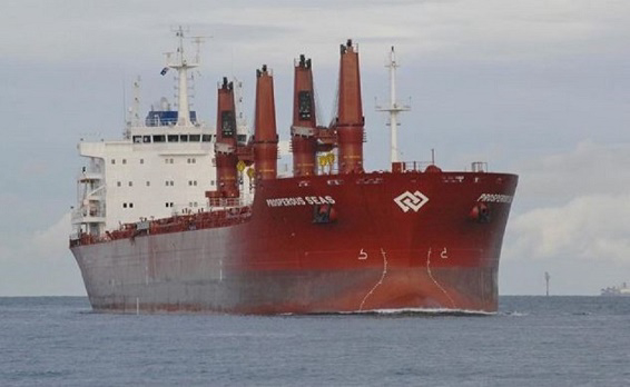 Is Momentum Mounting for Paragon Shipping Inc.?