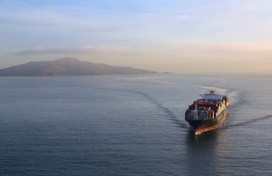 T&omicron; &delta;ύ&sigma;&kappa;&omicron;&lambda;&omicron; &sigma;&tau;&omicron;ί&chi;&eta;&mu;&alpha; &tau;&eta;&sigmaf; &nu;&alpha;&upsilon;&tau;&iota;&lambda;&iota;&alpha;&kappa;ή&sigmaf; &chi;&rho;&eta;&mu;&alpha;&tau;&omicron;&delta;ό&tau;&eta;&sigma;&eta;&sigmaf;