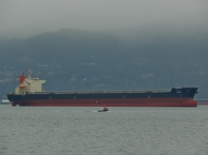 Panamax market finally finding some life