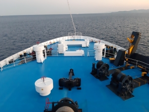 &Sigma;&tau;&iota;&sigmaf; 29 &Phi;&epsilon;&beta;&rho;&omicron;&upsilon;&alpha;&rho;ί&omicron;&upsilon; &omicron; &delta;&iota;&epsilon;&theta;&nu;ή&sigmaf; &delta;&iota;&alpha;&gamma;&omega;&nu;&iota;&sigma;&mu;ό&sigmaf; &gamma;&iota;&alpha; &tau;&iota;&sigmaf; 73 ά&gamma;&omicron;&nu;&epsilon;&sigmaf; &gamma;&rho;&alpha;&mu;&mu;έ&sigmaf;-&Pi;&rho;&omicron;&beta;ά&delta;&iota;&sigma;&mu;&alpha; &sigma;&tau;&alpha; &nu;&epsilon;ό&tau;&epsilon;&rho;&alpha; &pi;&lambda;&omicron;ί&alpha; &gamma;&iota;&alpha; &tau;&eta;&nu; &kappa;&alpha;&tau;&eta;&gamma;&omicron;&rho;ί&alpha;