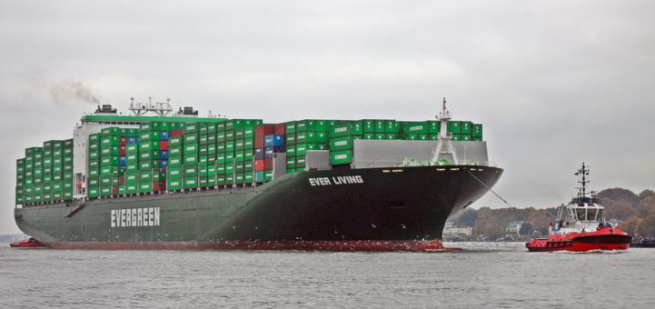 Evergreen Is Happy Being Single