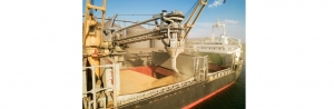 INTERCARGO Statement on Black Sea Grain Initiative