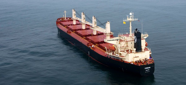 Eagle Bulk Shipping Inc. Successfully Completes Greenship Bulk Fleet Acquisition 